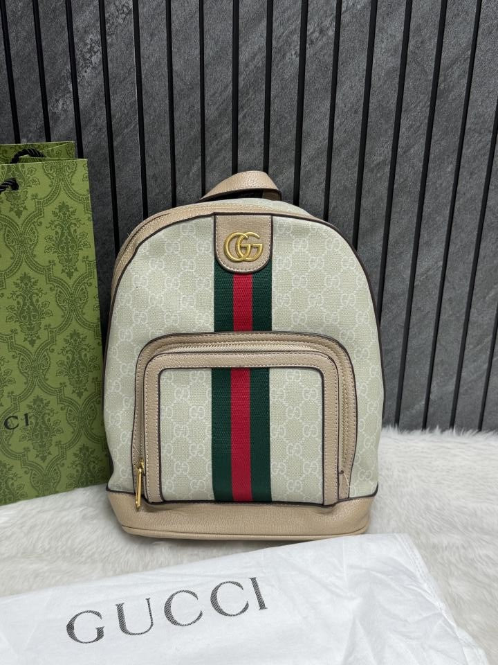 Gucci_Ophidia_Mini_Backpack_With_DustCover_CarryBag