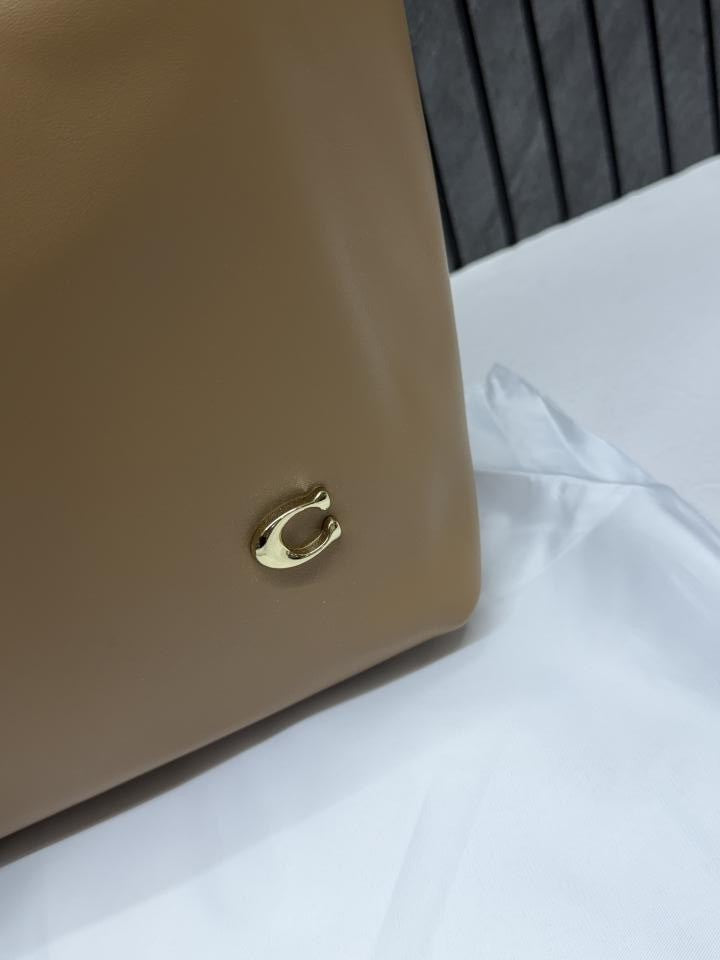 Coacchh Beige North Tote With DustCover & Pouch