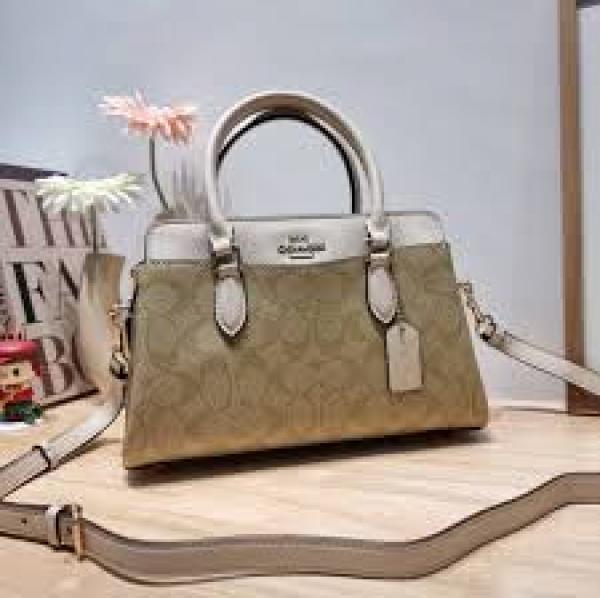 Coaach_darcie carryall in signature bag with box premium quality