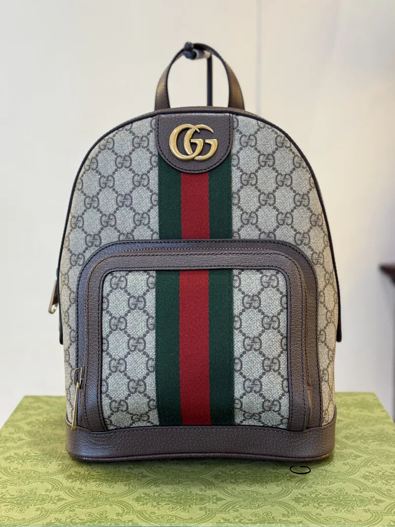 G-inspired Ophidia GG Printed Backpack With Dust Bag (Brown)