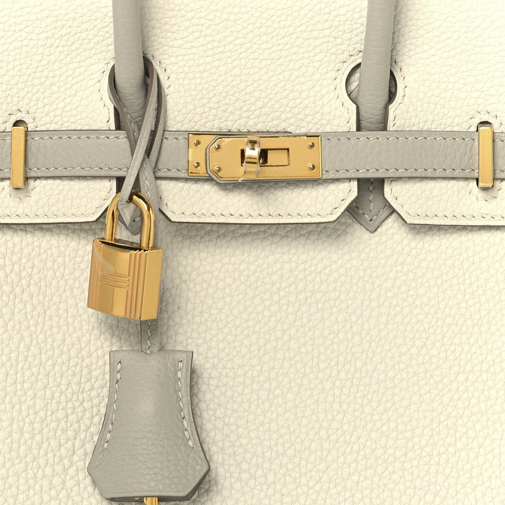H-Inspired Birkin Style 25 Pebbled Leather Tote Bag With Magnetic Box And Dust Bag (Orchid)
